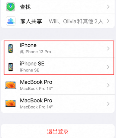 高港苹高港果维修网点分享iPhone如何查询序列号