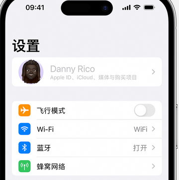 高港appleID维修服务iPhone设置中Apple ID显示为灰色无法使用