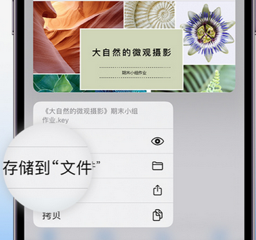 高港apple维修中心分享iPhone文件应用中存储和找到下载文件