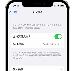 高港apple服务站点分享iPhone上个人热点丢失了怎么办 