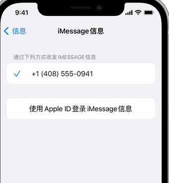 高港apple维修iPhone上无法正常发送iMessage信息 