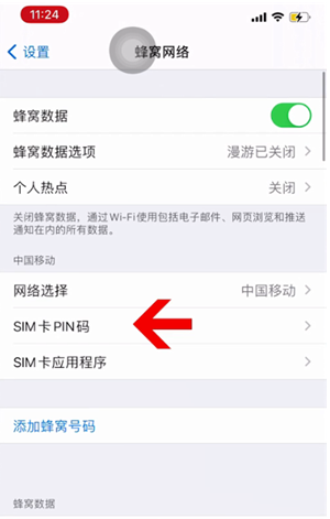 高港苹果14维修网分享如何给iPhone14的SIM卡设置密码 