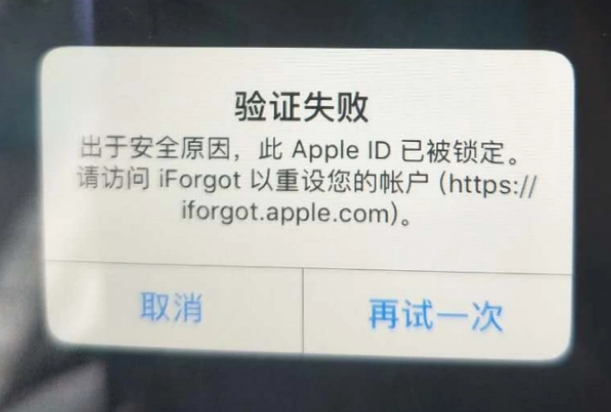 高港iPhone维修分享iPhone上正常登录或使用AppleID怎么办 