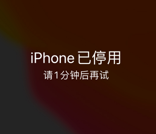 高港苹果手机维修分享:iPhone 显示“不可用”或“已停用”怎么办？还能保留数据吗？ 