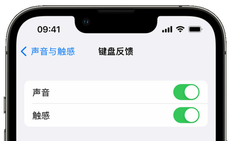 高港苹果手机维修分享iPhone 14触感键盘使用方法 