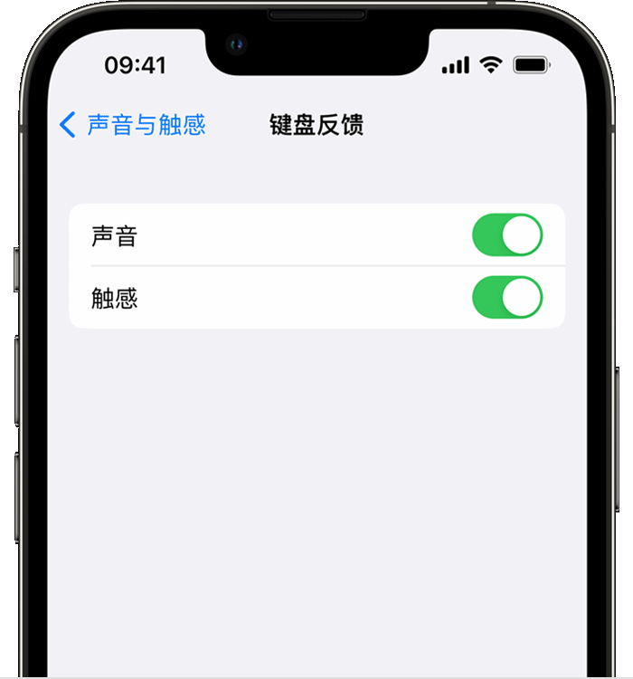 高港苹果14维修店分享如何在 iPhone 14 机型中使用触感键盘 