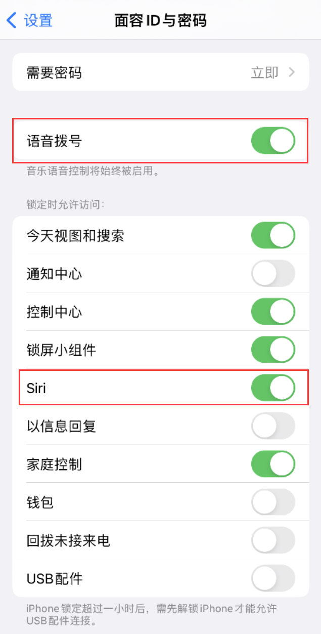 高港苹果维修网点分享不解锁 iPhone 的情况下通过 Siri 拨打电话的方法 