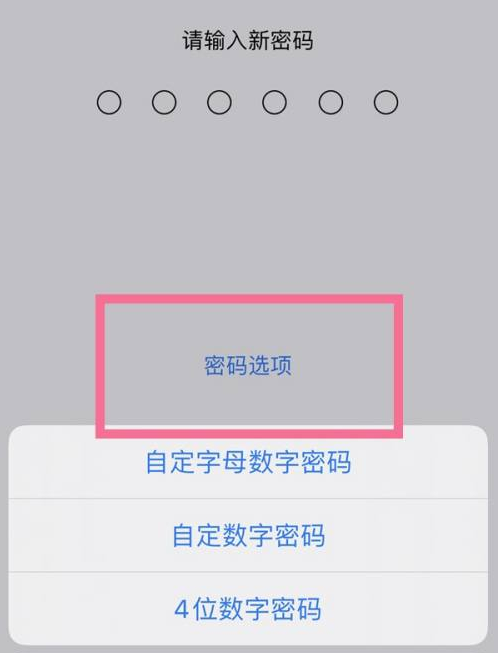 高港苹果14维修分享iPhone 14plus设置密码的方法 