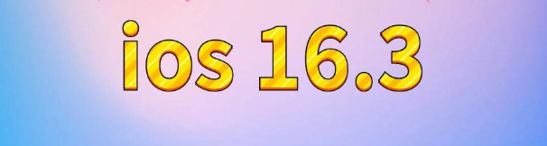 高港苹果服务网点分享苹果iOS16.3升级反馈汇总 