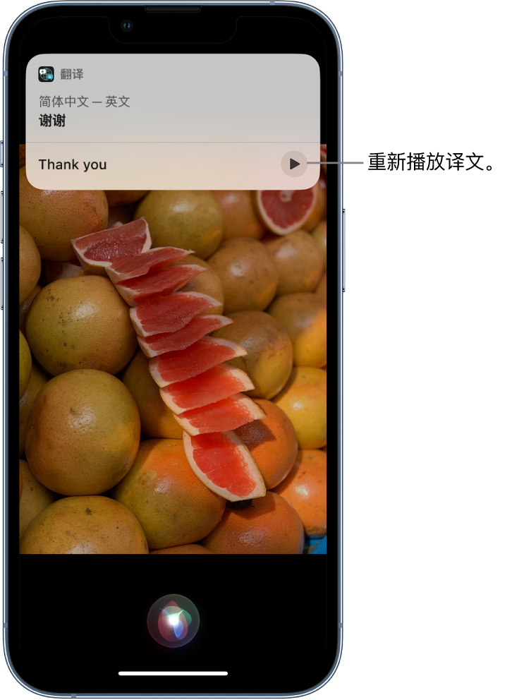 高港苹果14维修分享 iPhone 14 机型中使用 Siri：了解 Siri 能帮你做什么 