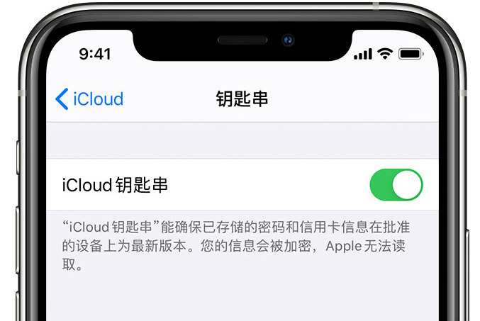 高港苹果手机维修分享在 iPhone 上开启 iCloud 钥匙串之后会储存哪些信息 