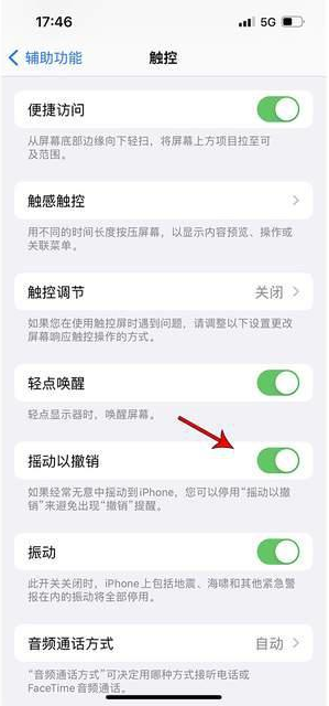 高港苹果手机维修分享iPhone手机如何设置摇一摇删除文字 