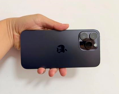 高港苹果维修点分享iPhone 14 Pro Max发烫多重诱因剖析 